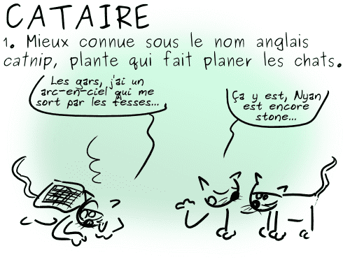 13-03-18 - Cataire (1)