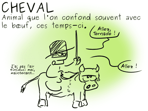 13-02-18 - Cheval (1)