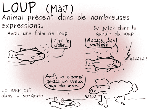 14-07-03 - Loup (MàJ) (1)