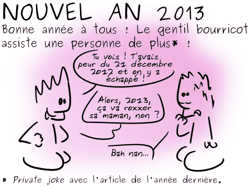 13-01-01 - Nouvel an 2013 (1)