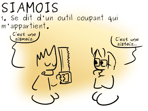 13-01-29 - Siamois (1)